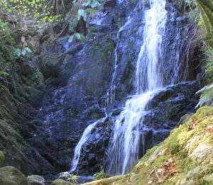 Waterfalls